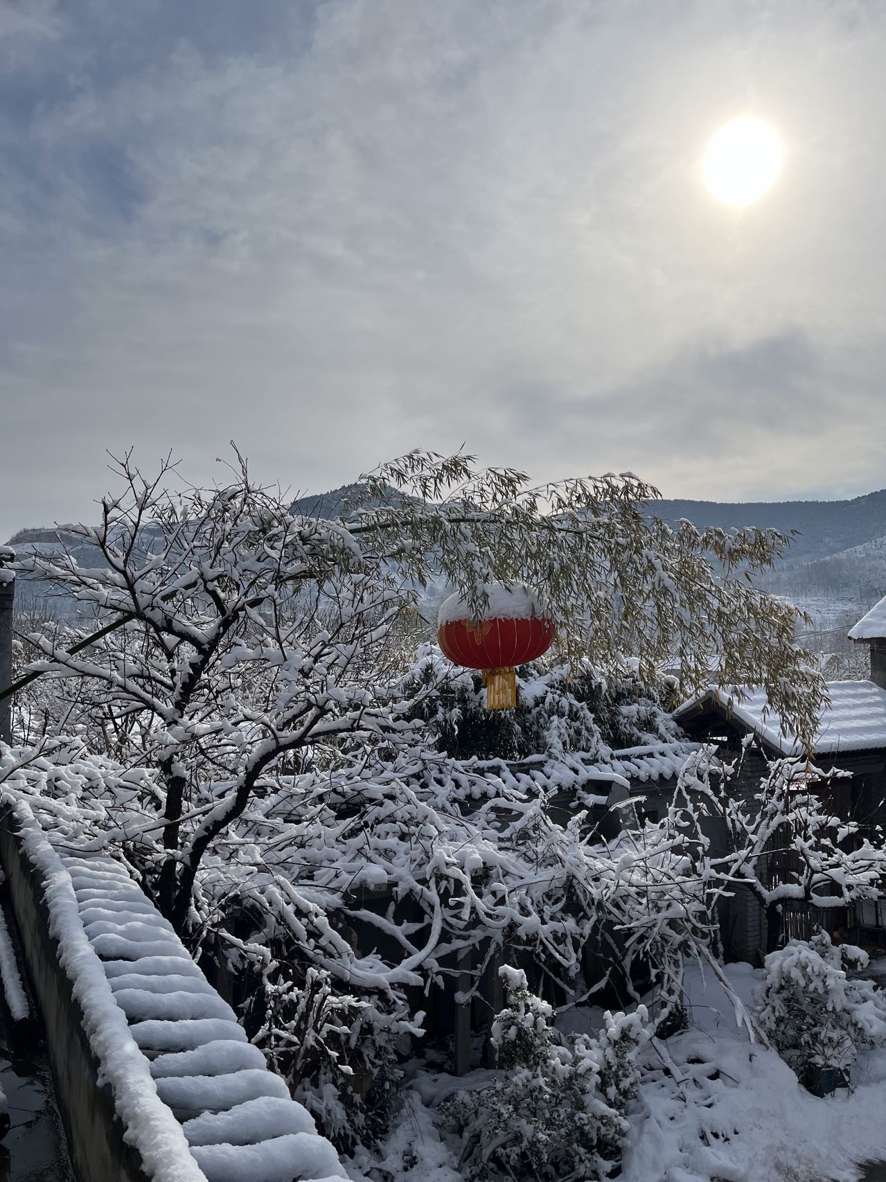 耐寒珍珠黄杨繁育基地品牌故事